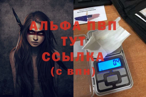 ALPHA PVP Беломорск