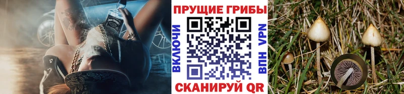 Галлюциногенные грибы ЛСД  цена наркотик  Кохма 